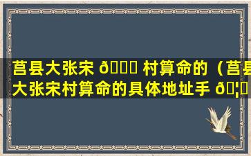 莒县大张宋 🐕 村算命的（莒县大张宋村算命的具体地址手 🦉 机号码）